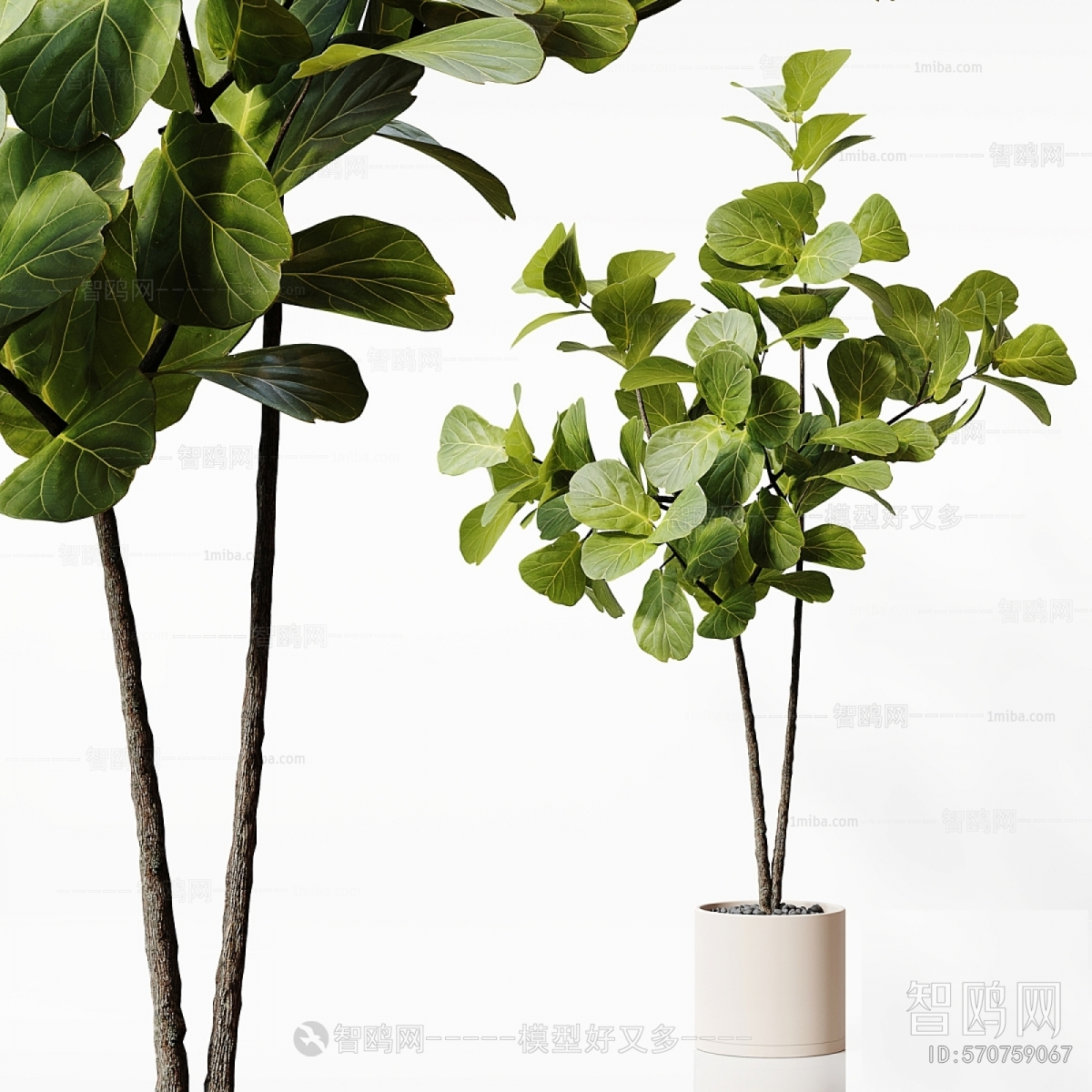 Modern Ground Green Plant Potted Plants
