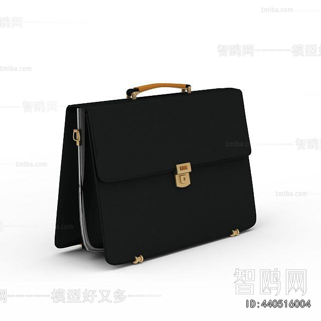 Modern Lady's Bag