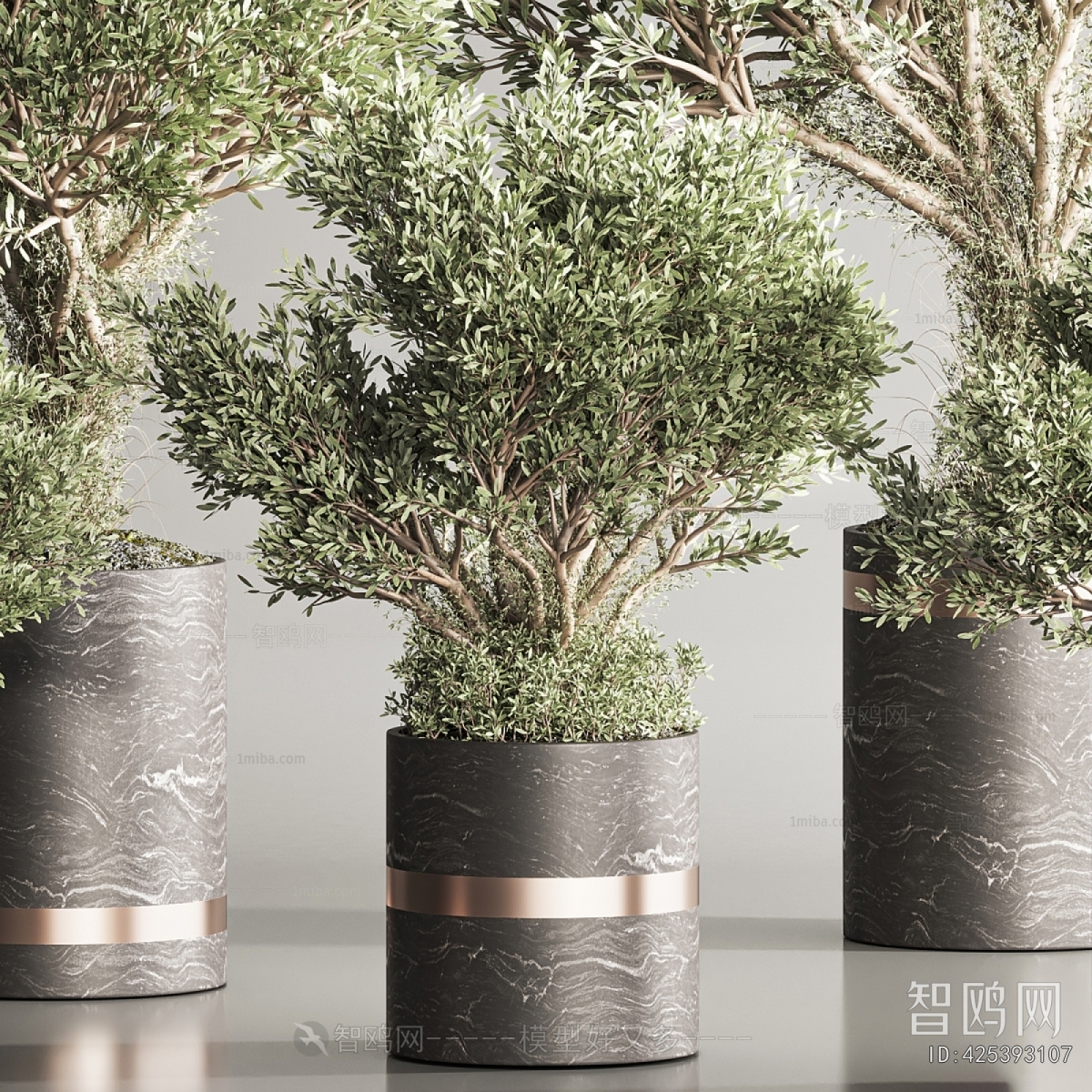 Modern Ground Green Plant Potted Plants