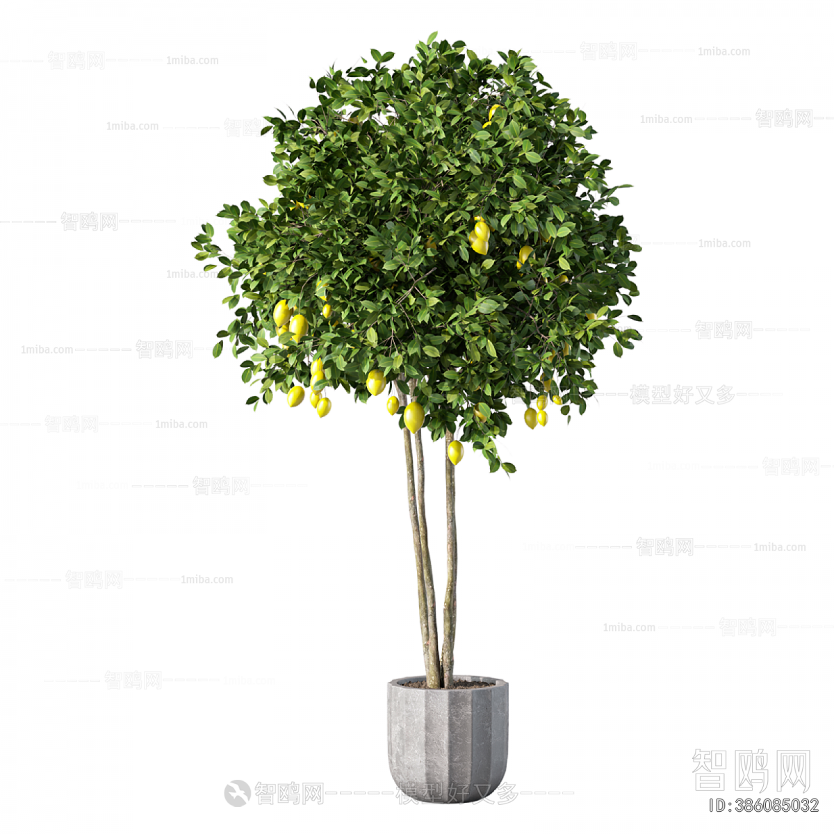 Modern Ground Green Plant Potted Plants