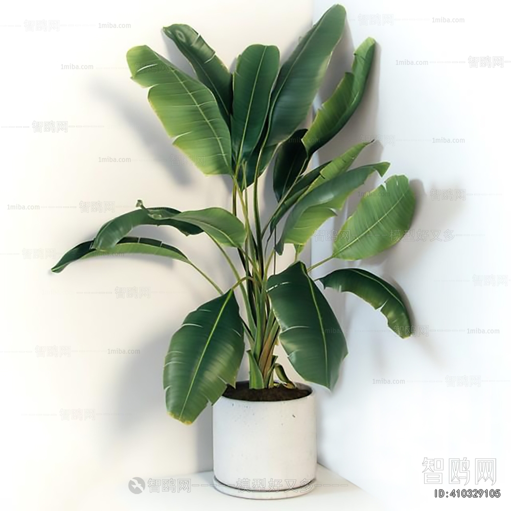 Modern Ground Green Plant Potted Plants