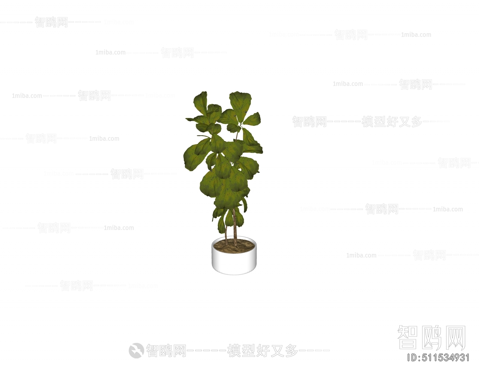 Modern Ground Green Plant Potted Plants
