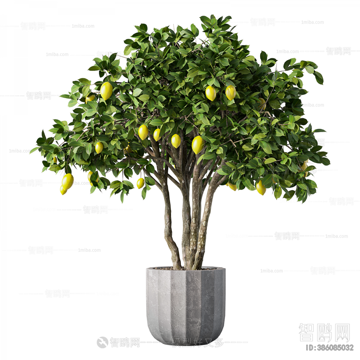 Modern Ground Green Plant Potted Plants