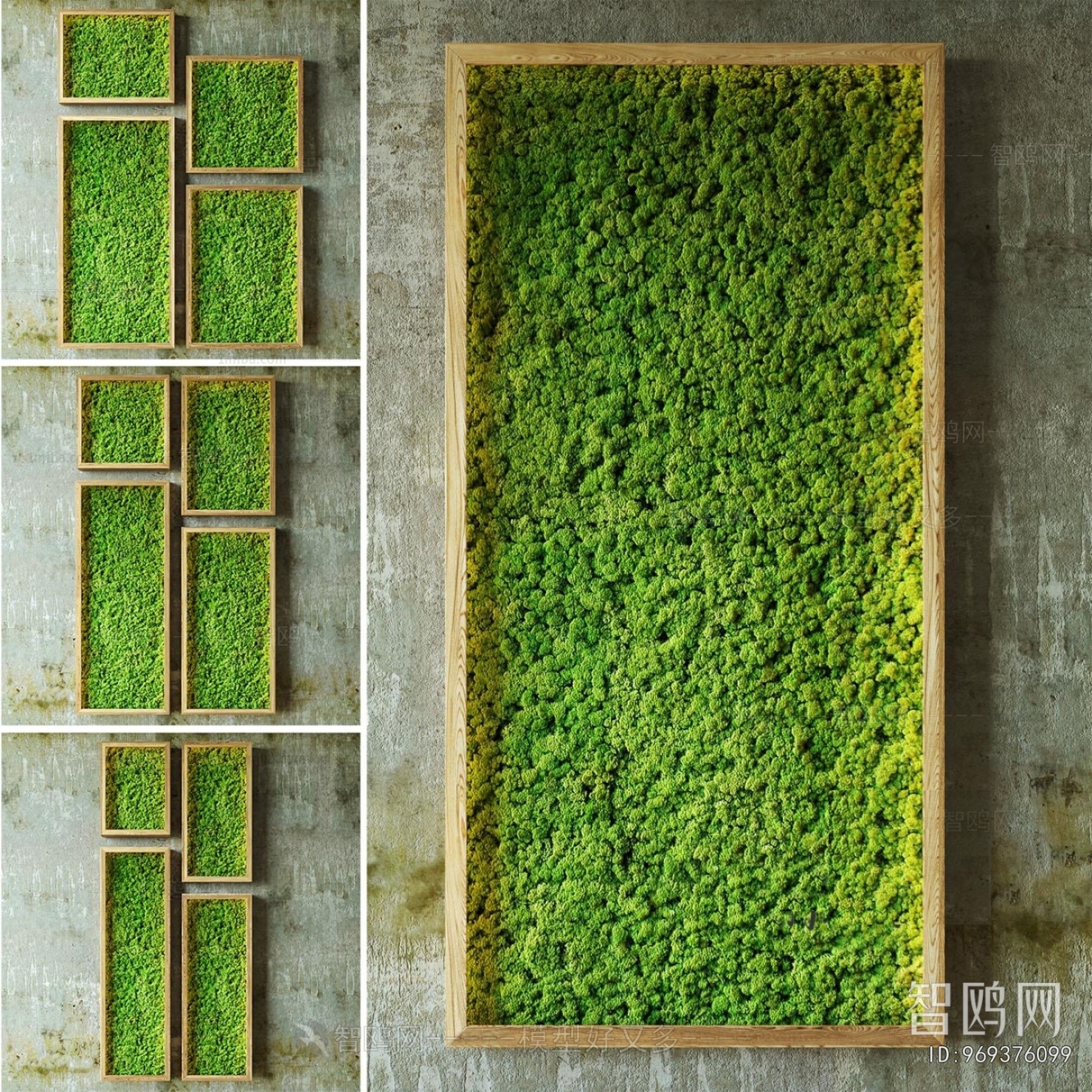 Modern Plant Wall