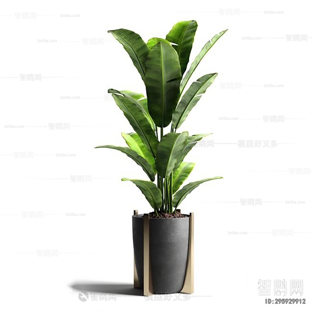 Modern Ground Green Plant Potted Plants