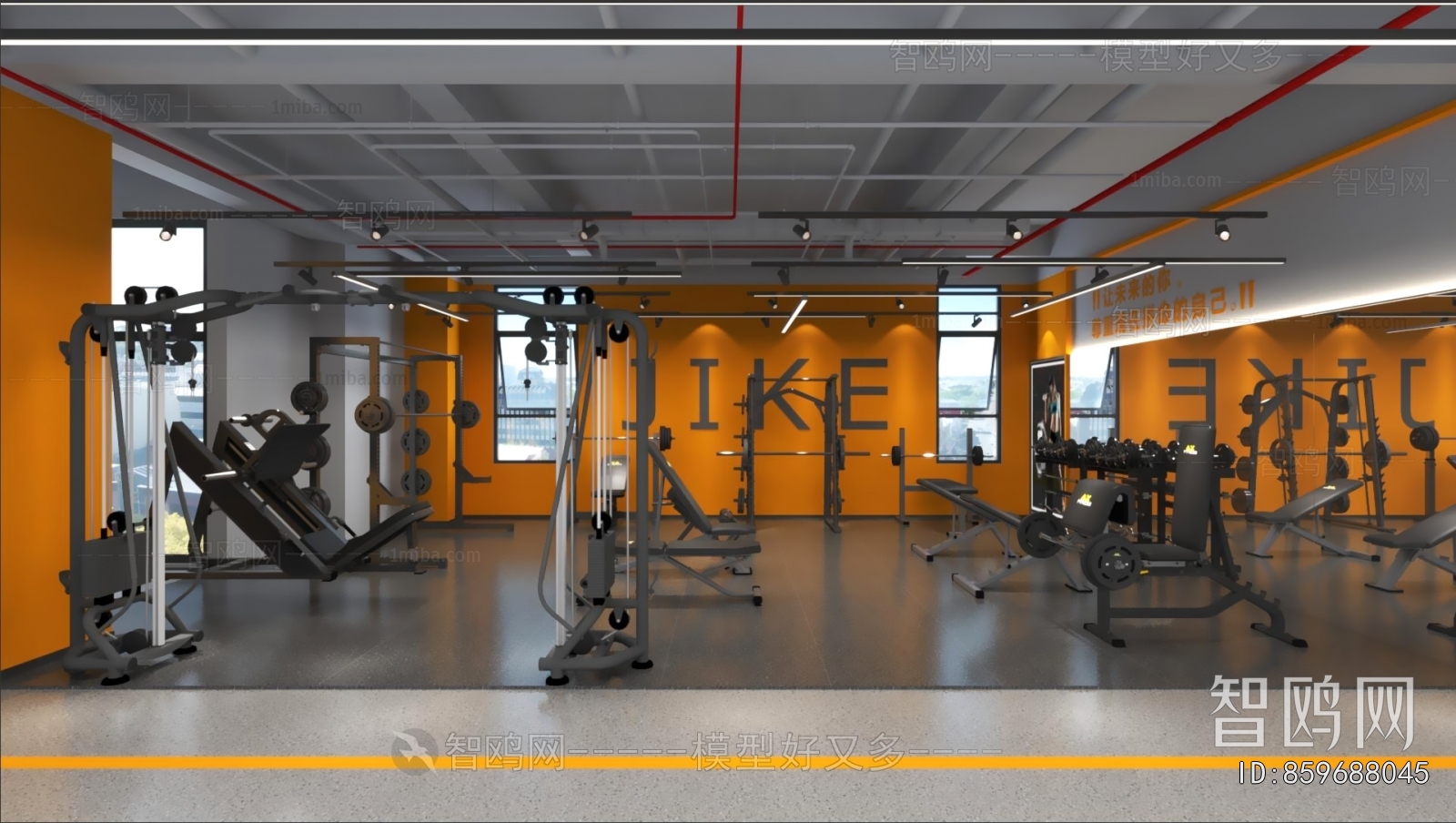 Modern Gym