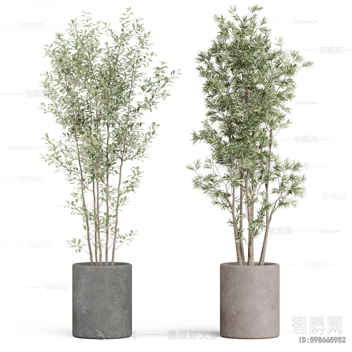 Modern Ground Green Plant Potted Plants