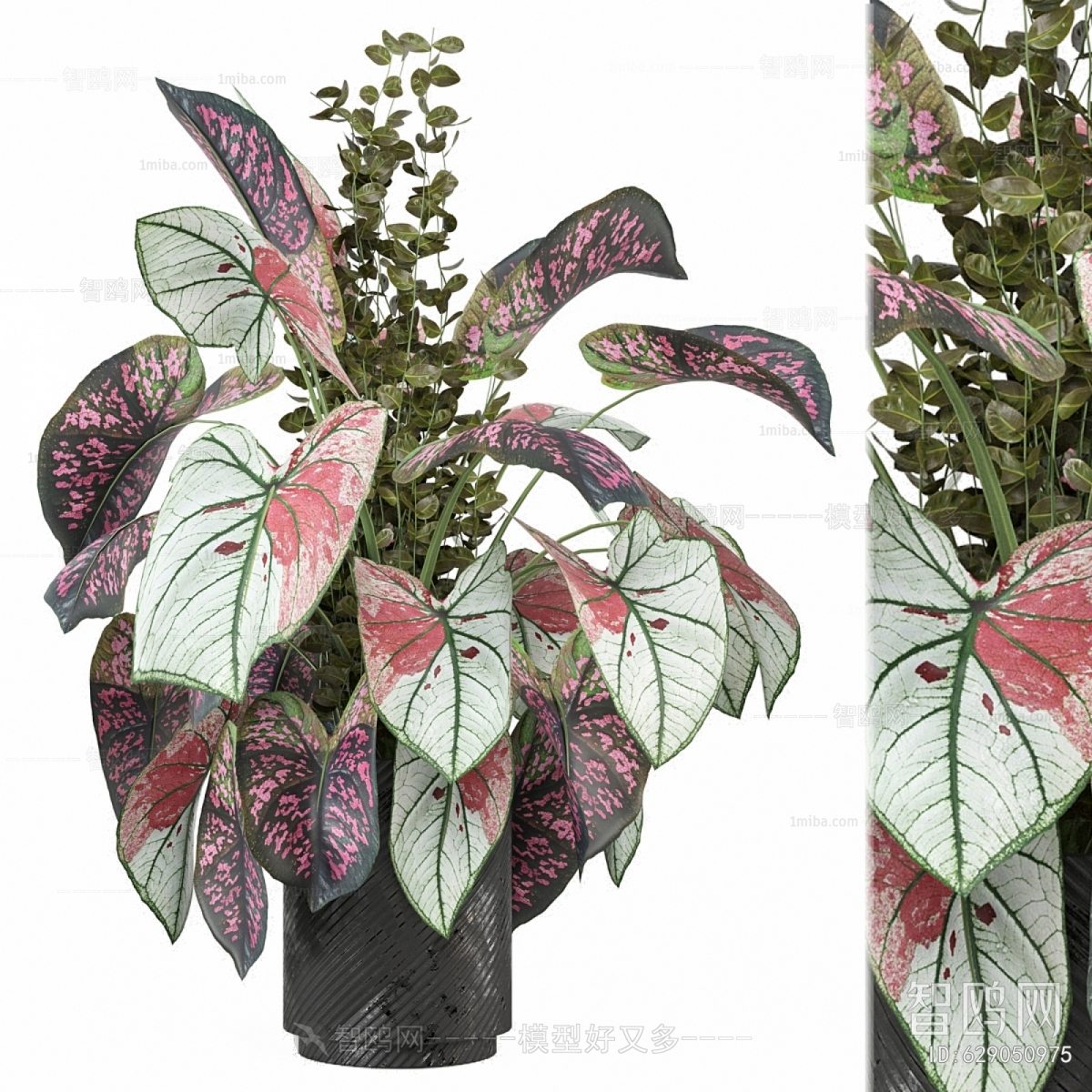 Modern Potted Green Plant