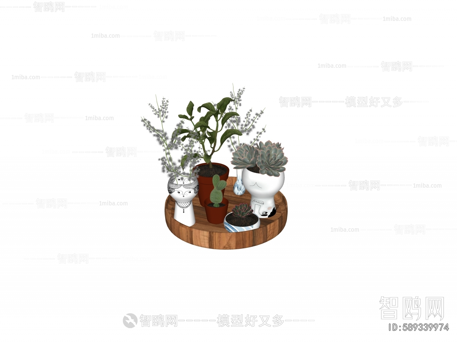 Modern Desktop Plant
