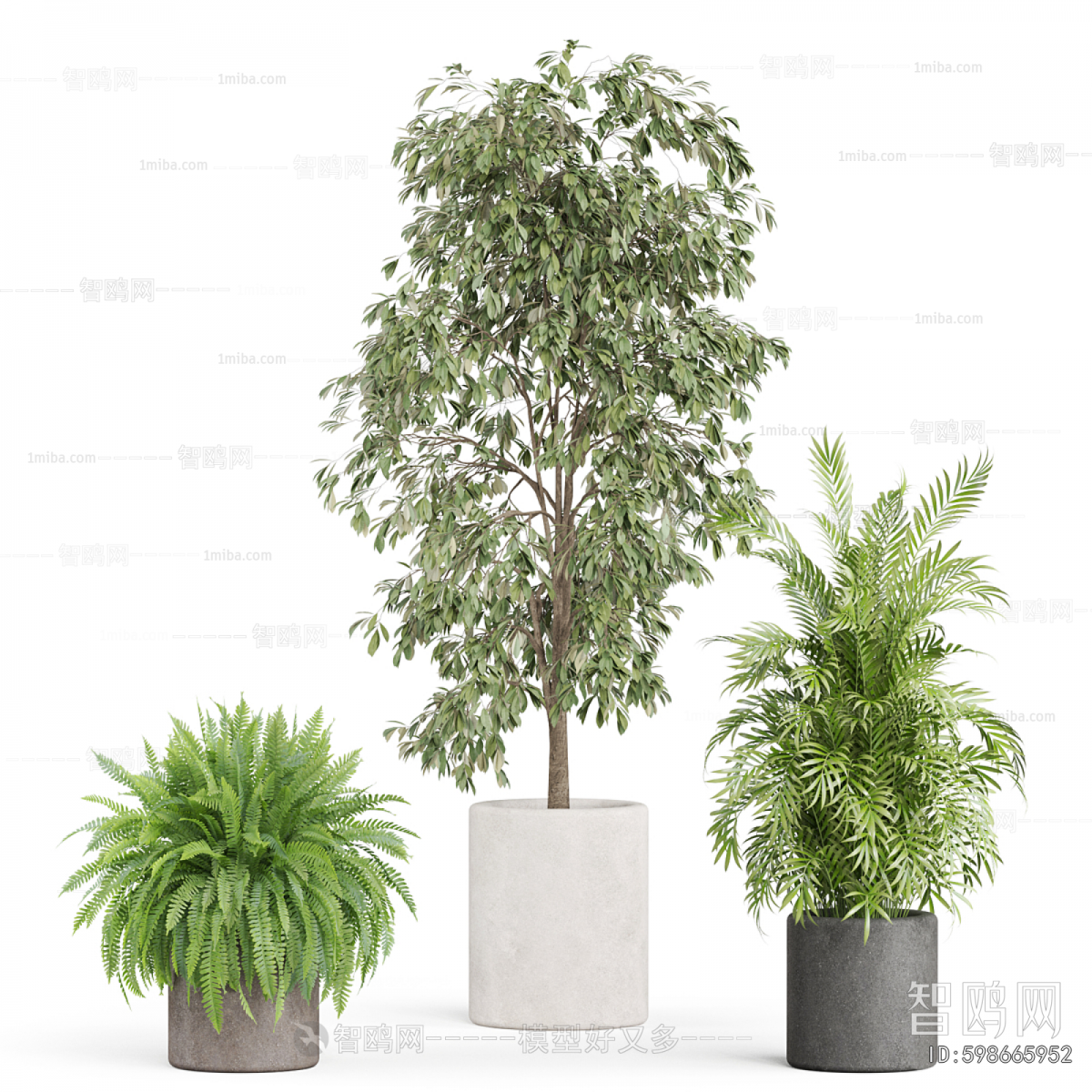 Modern Ground Green Plant Potted Plants
