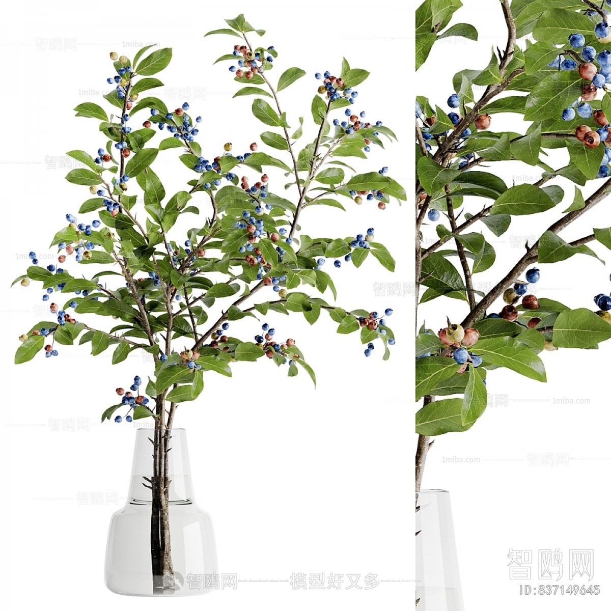 Modern Aquatic Green Plant