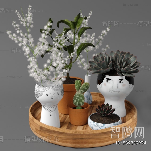 Modern Desktop Plant