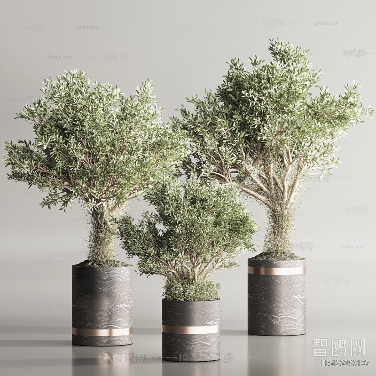 Modern Ground Green Plant Potted Plants