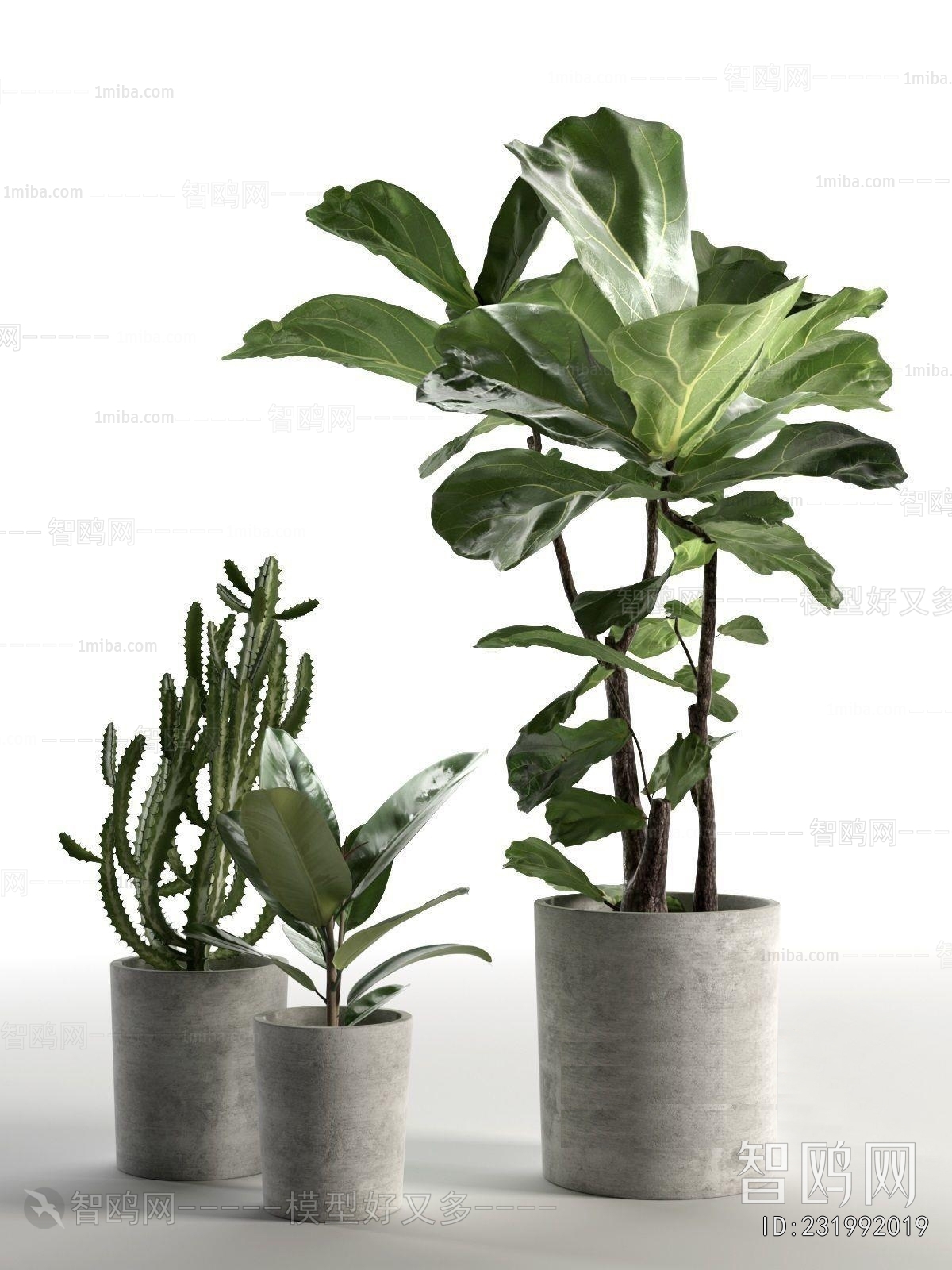 Modern Ground Green Plant Potted Plants