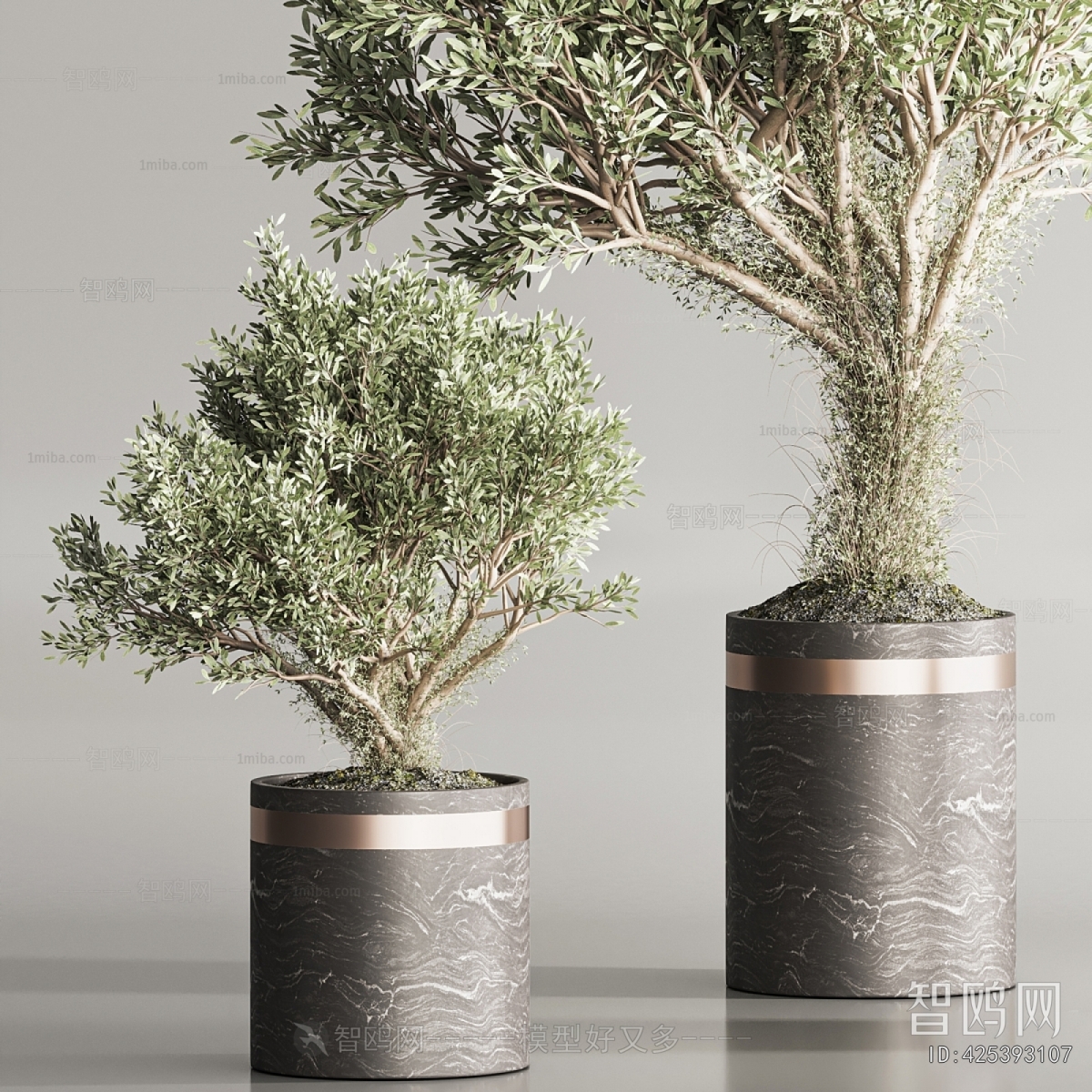 Modern Ground Green Plant Potted Plants