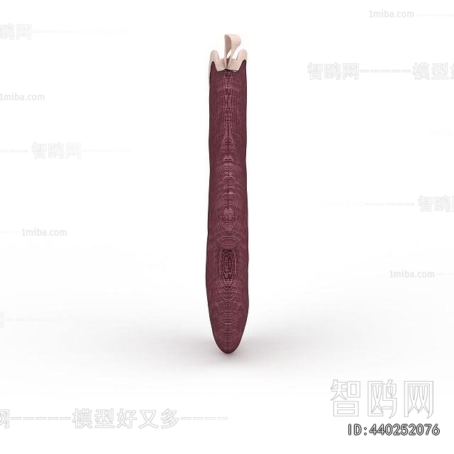 Modern Clothes, Bags And Shoes