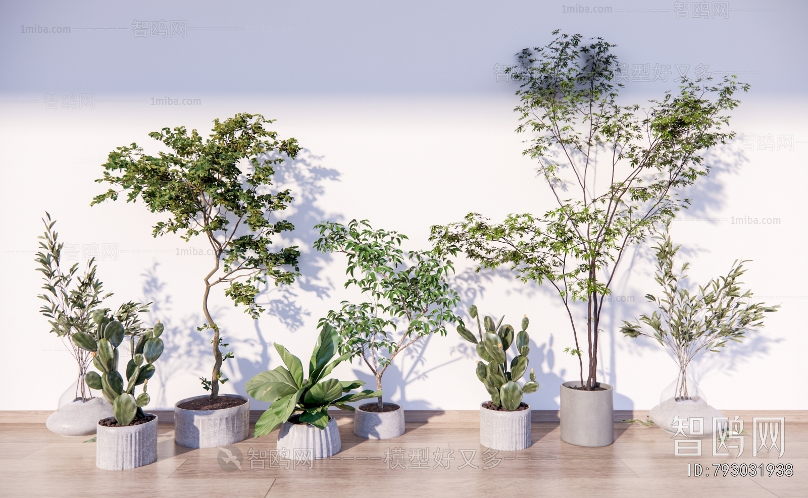 Modern Ground Green Plant Potted Plants