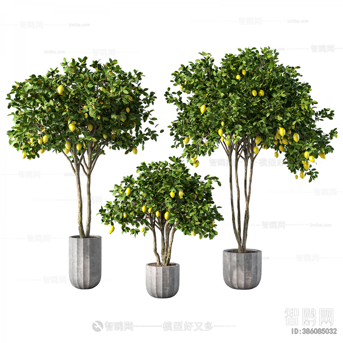 Modern Ground Green Plant Potted Plants