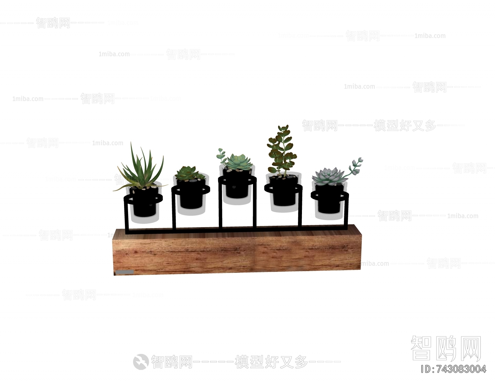 Modern Potted Green Plant