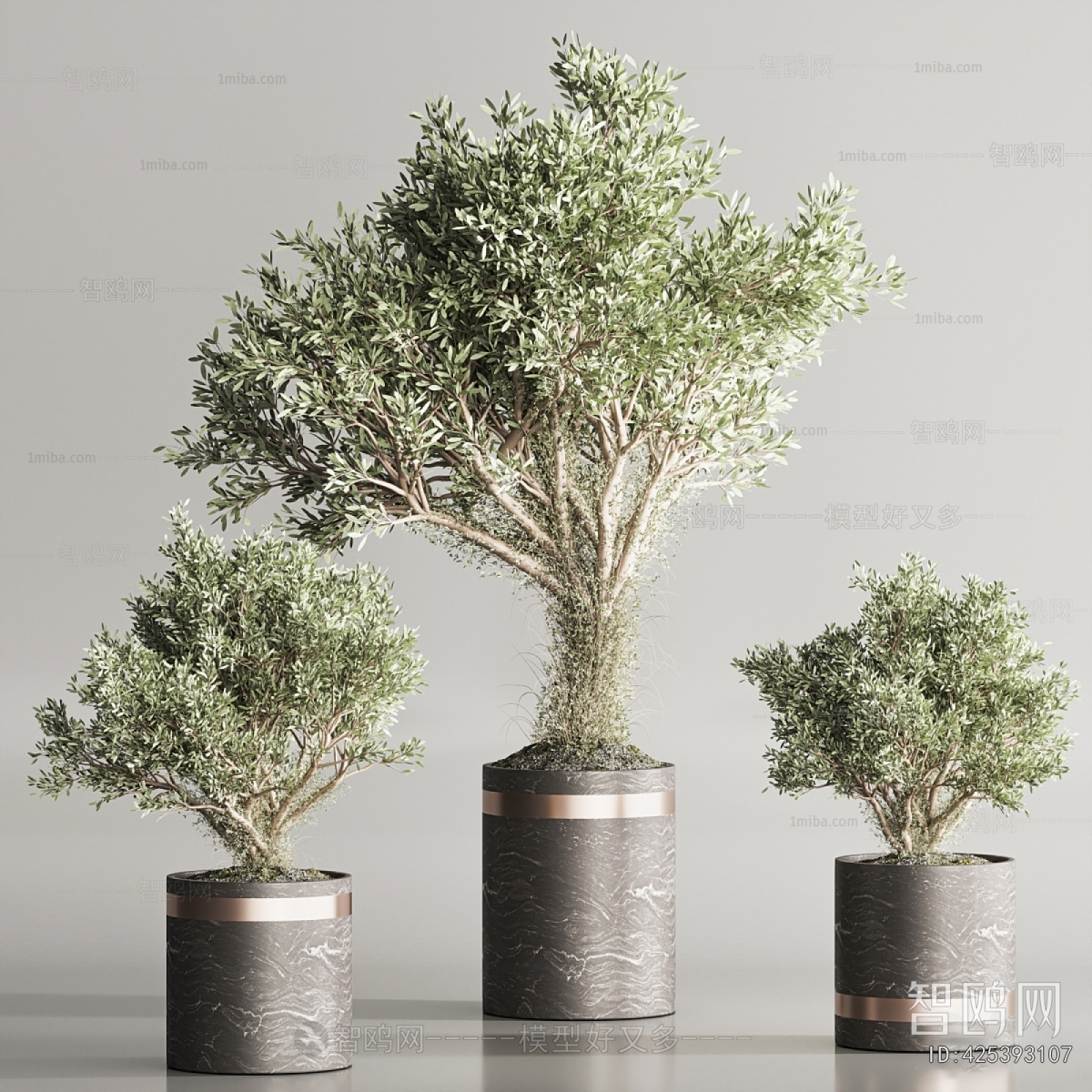 Modern Ground Green Plant Potted Plants