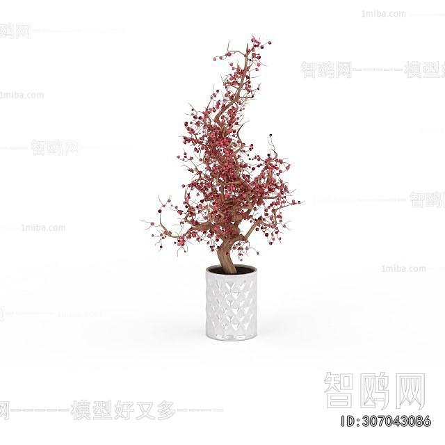 Modern Ground Green Plant Potted Plants