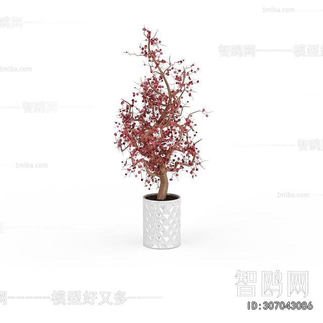 Modern Ground Green Plant Potted Plants