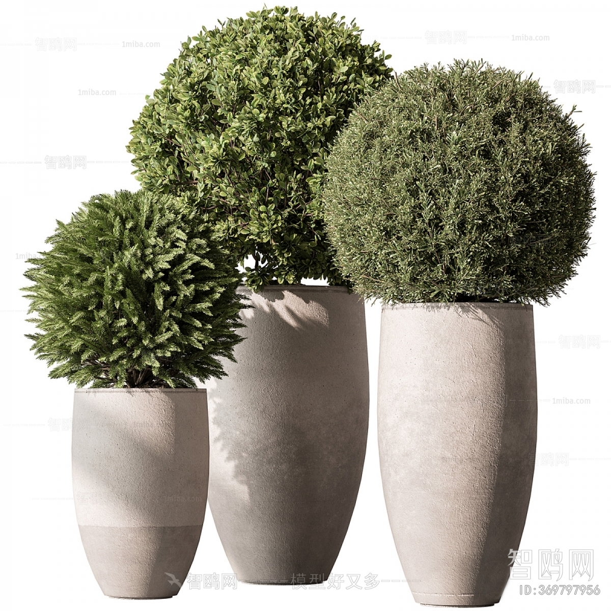 Modern Ground Green Plant Potted Plants