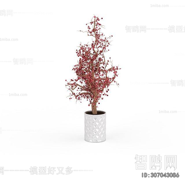 Modern Ground Green Plant Potted Plants