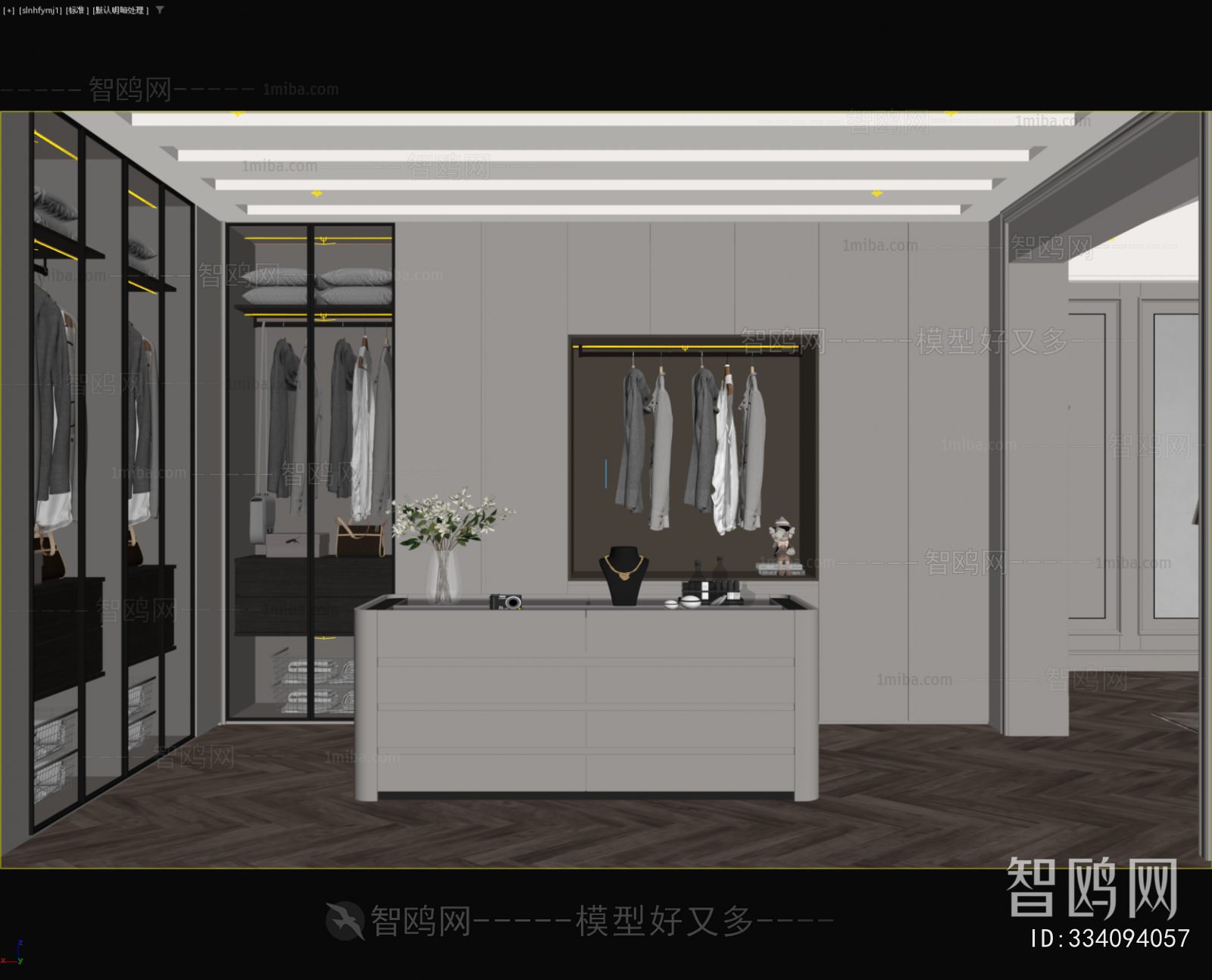 Modern Clothes Storage Area