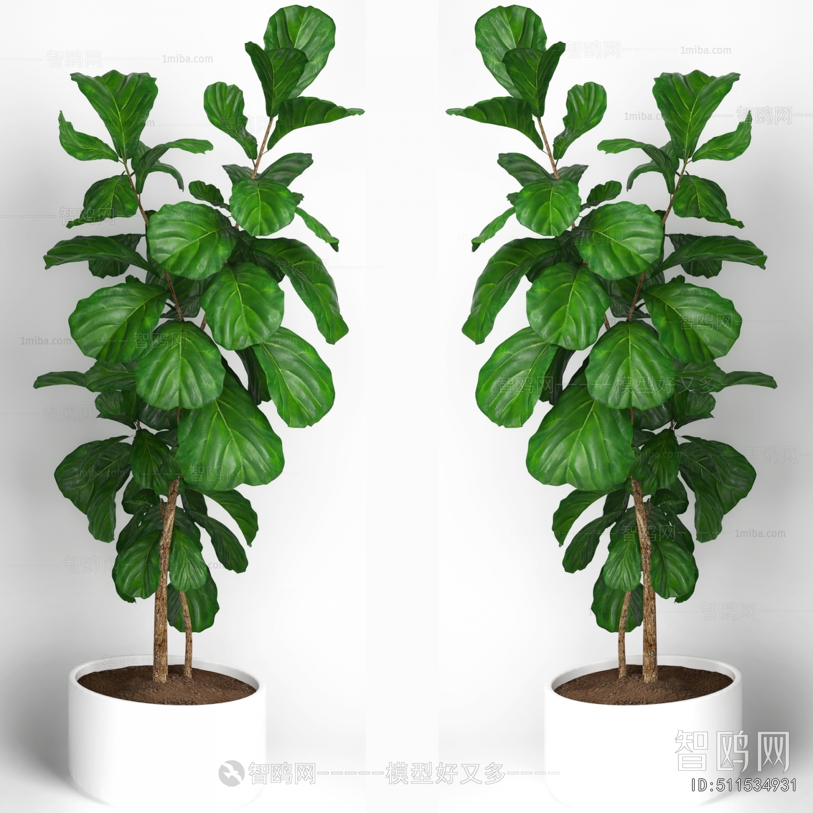 Modern Ground Green Plant Potted Plants