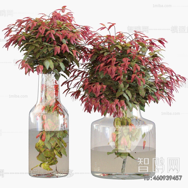 Modern Aquatic Green Plant