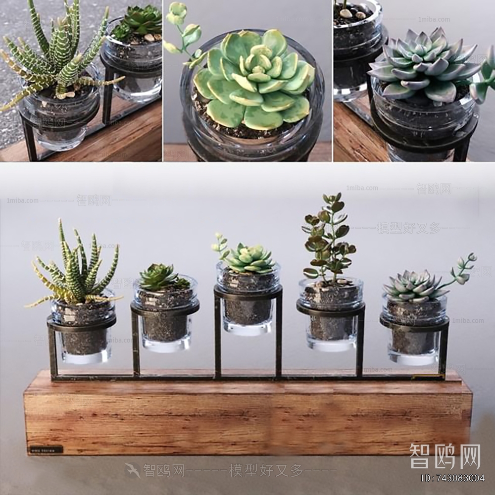 Modern Potted Green Plant