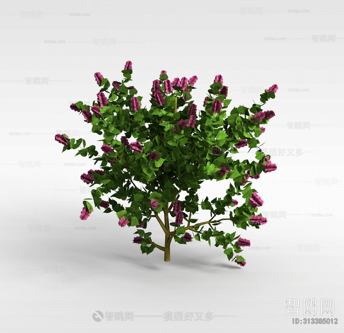 Modern Flowers And Grass