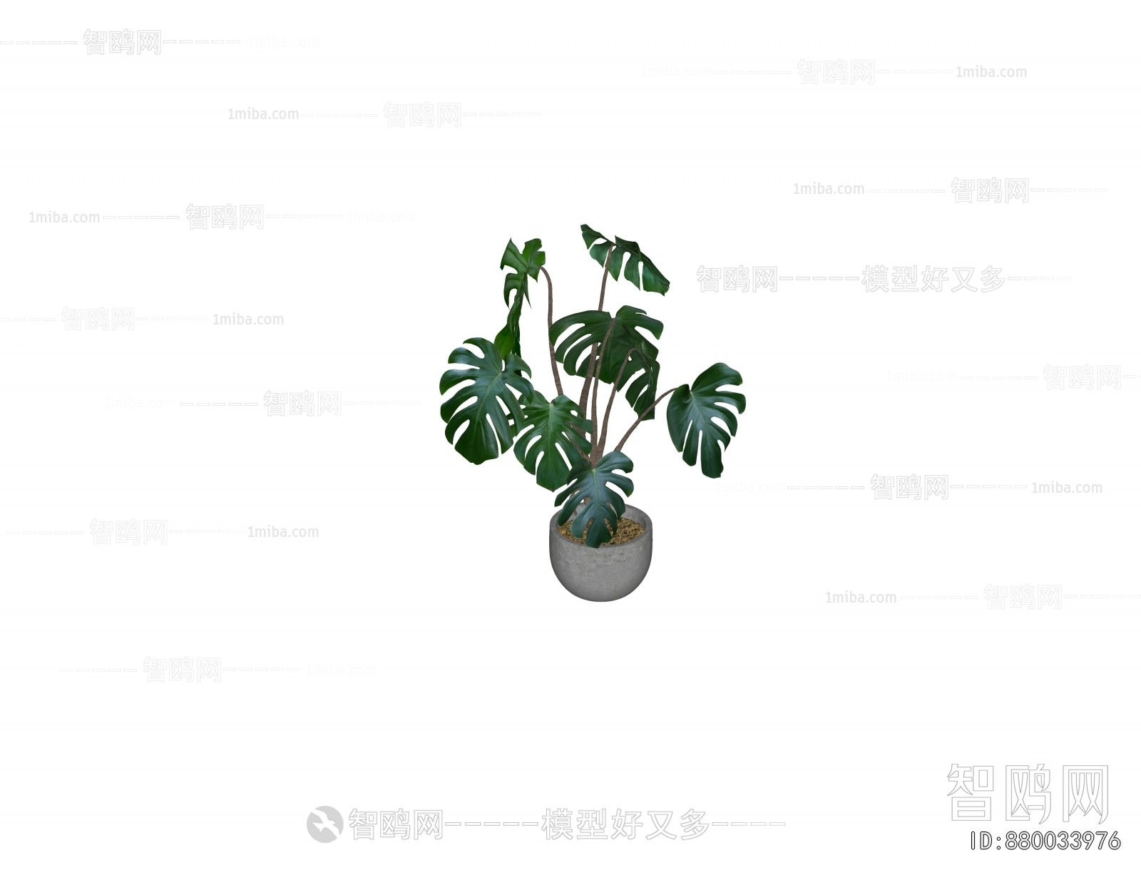 Modern Ground Green Plant Potted Plants