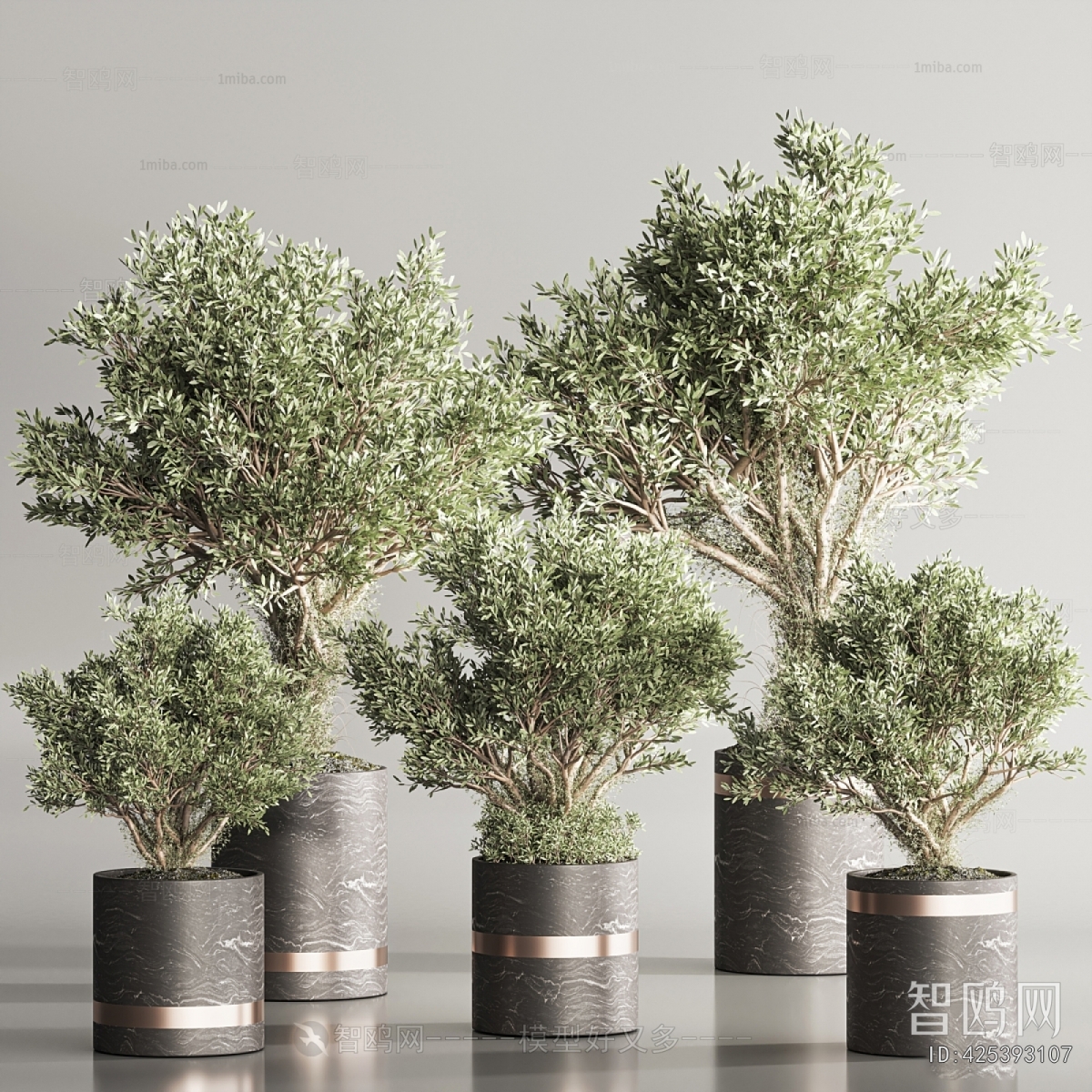 Modern Ground Green Plant Potted Plants