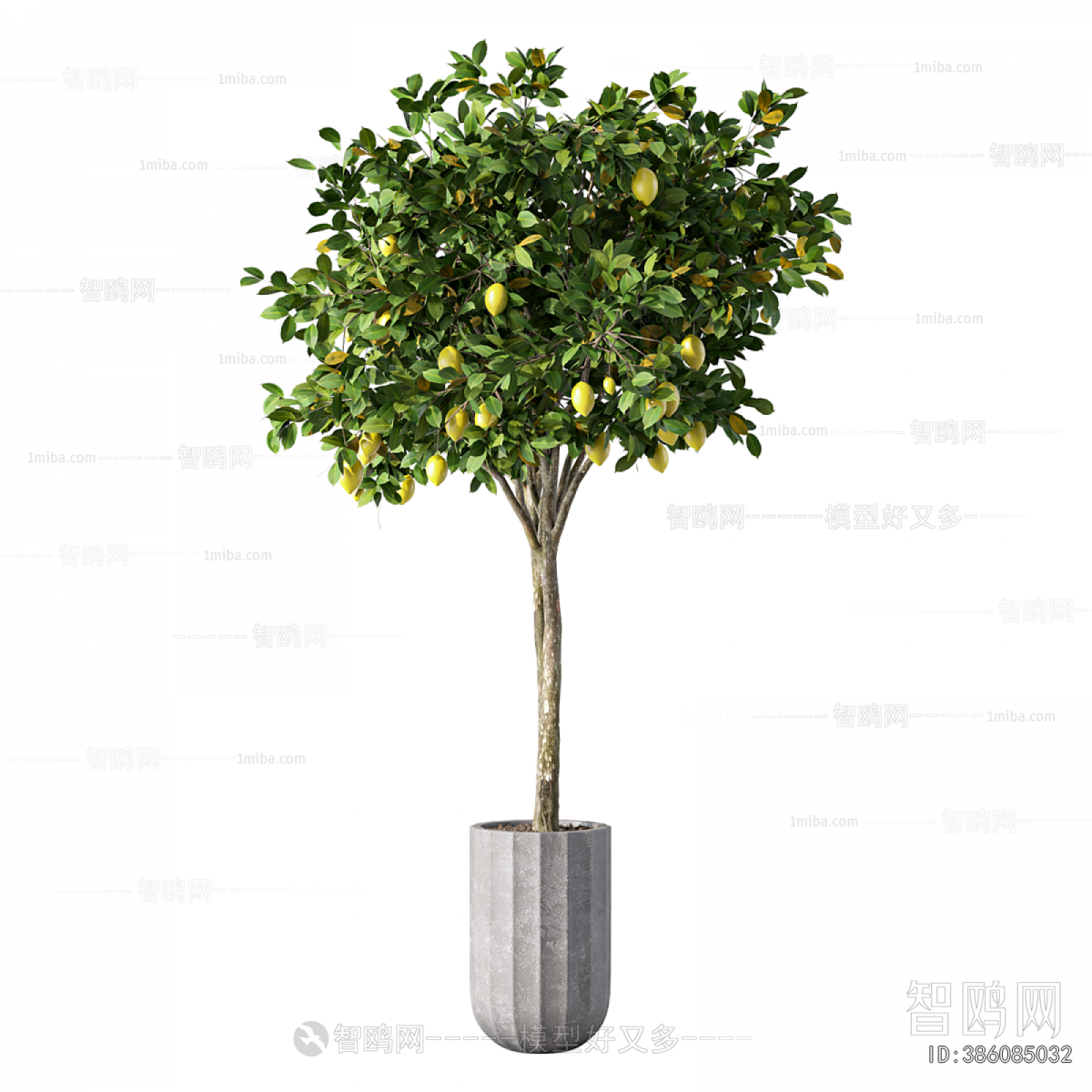 Modern Ground Green Plant Potted Plants