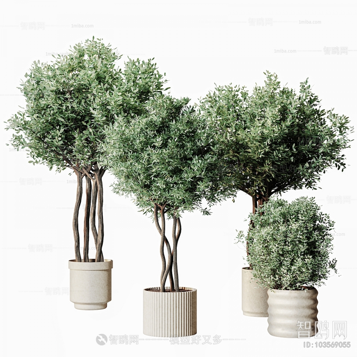 Modern Ground Green Plant Potted Plants