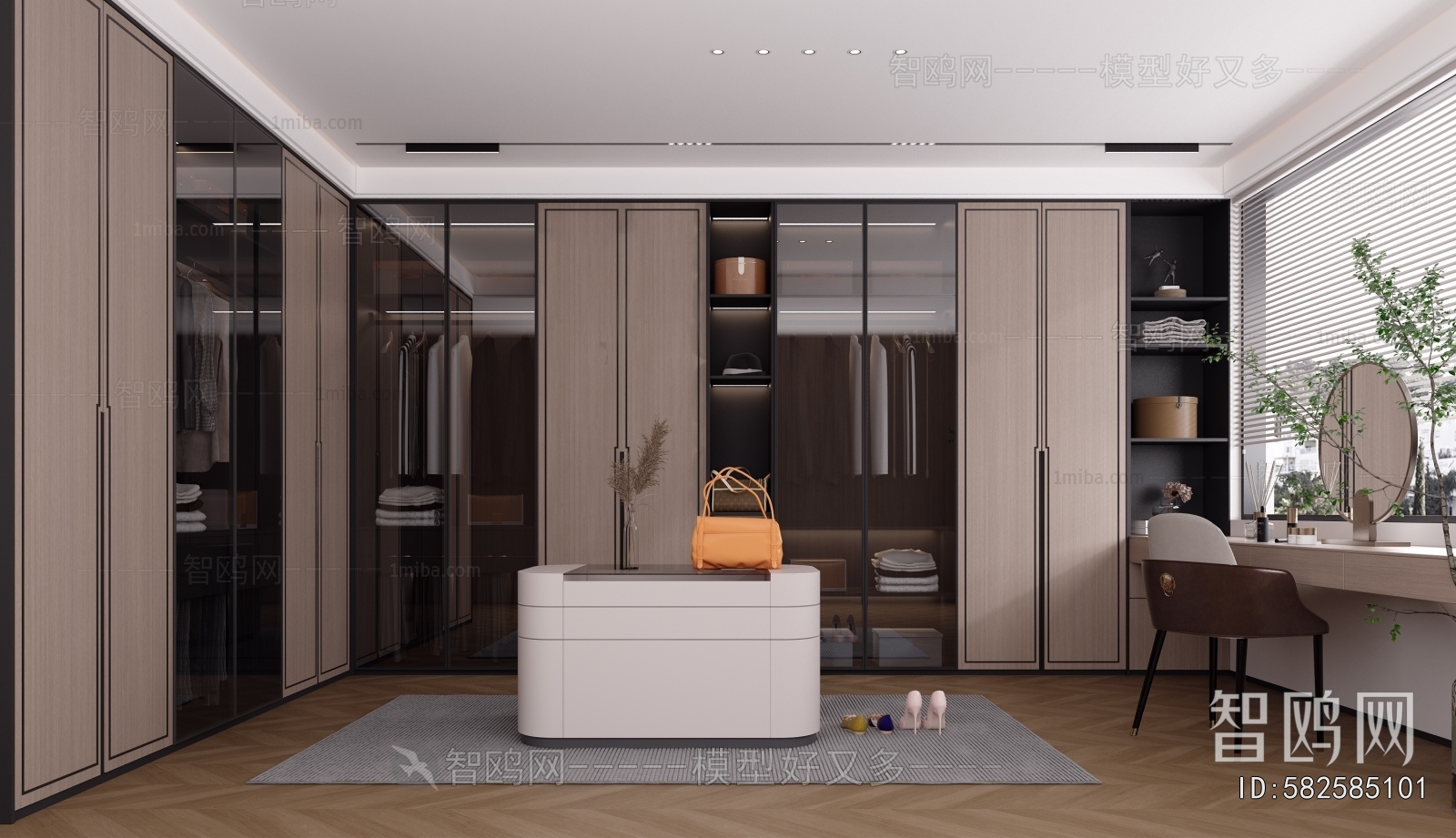 Modern Clothes Storage Area
