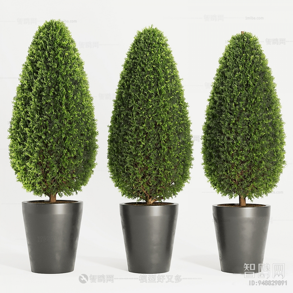 Modern Ground Green Plant Potted Plants