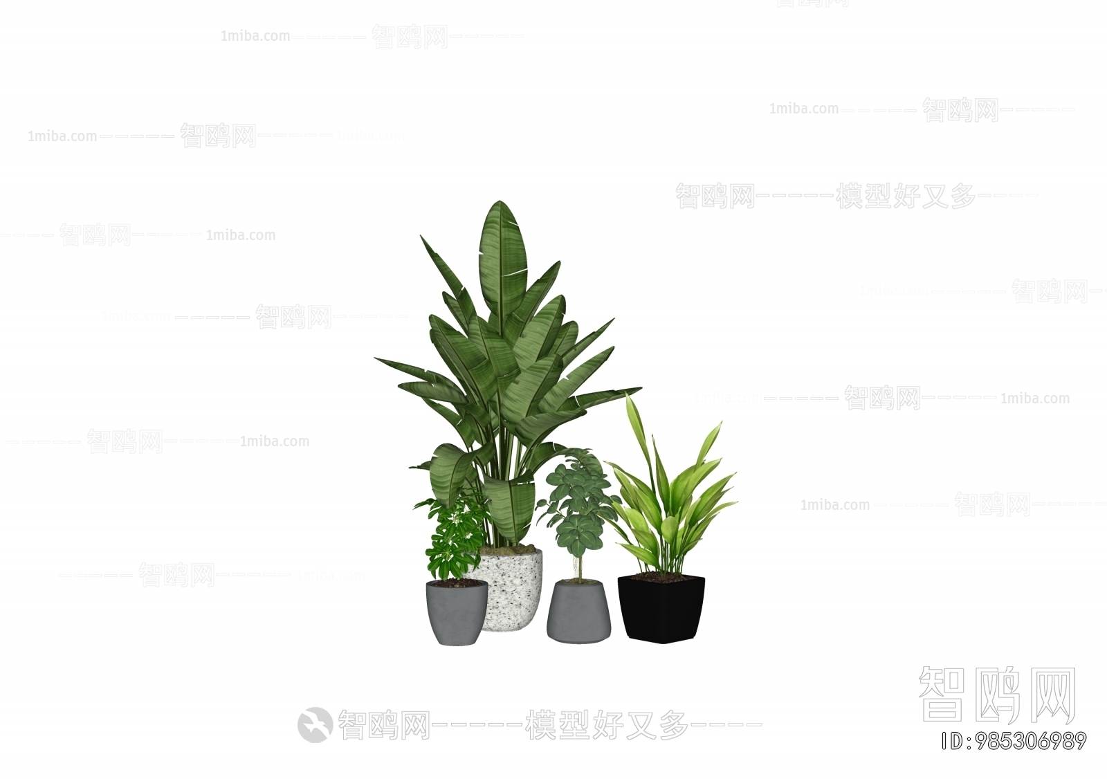 Modern Ground Green Plant Potted Plants