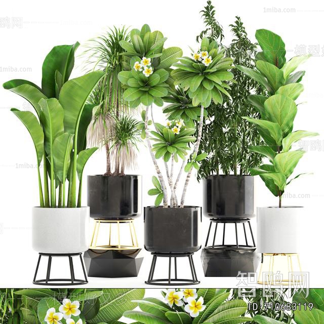 Modern Ground Green Plant Potted Plants