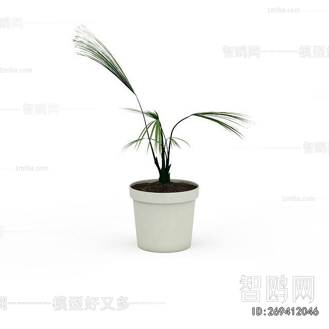Modern Potted Green Plant