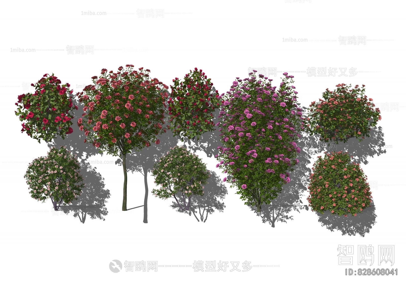 Modern Flowers And Grass