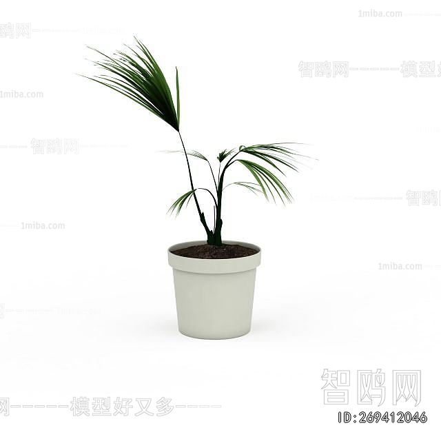 Modern Potted Green Plant