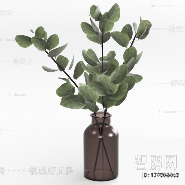 Modern Aquatic Green Plant