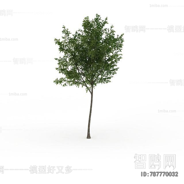 Modern Tree