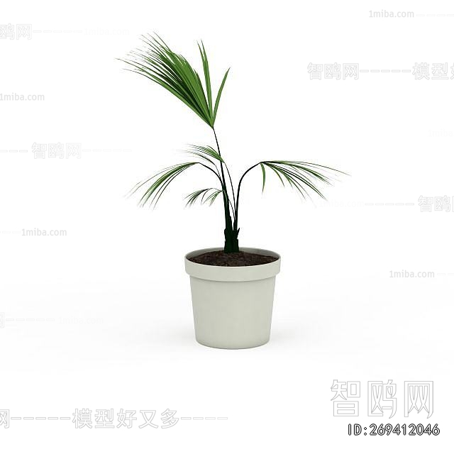 Modern Potted Green Plant