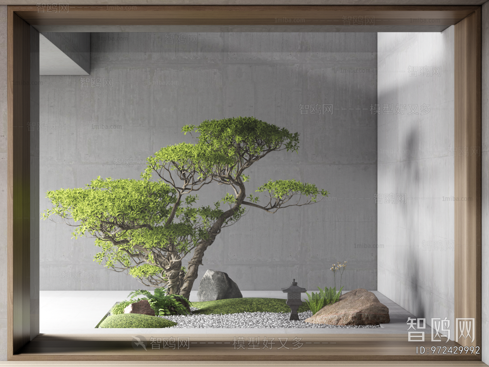 Modern Plant Landscaping