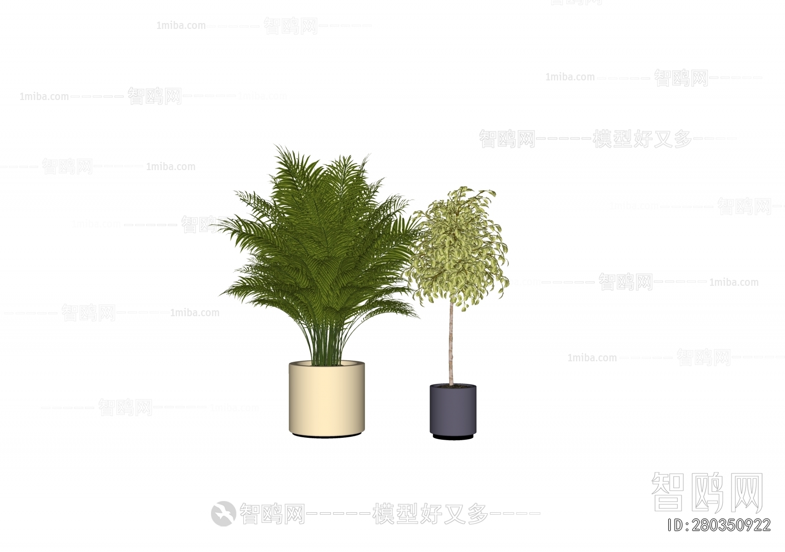 Modern Ground Green Plant Potted Plants