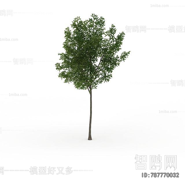 Modern Tree